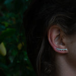 Circe Ear Crawler